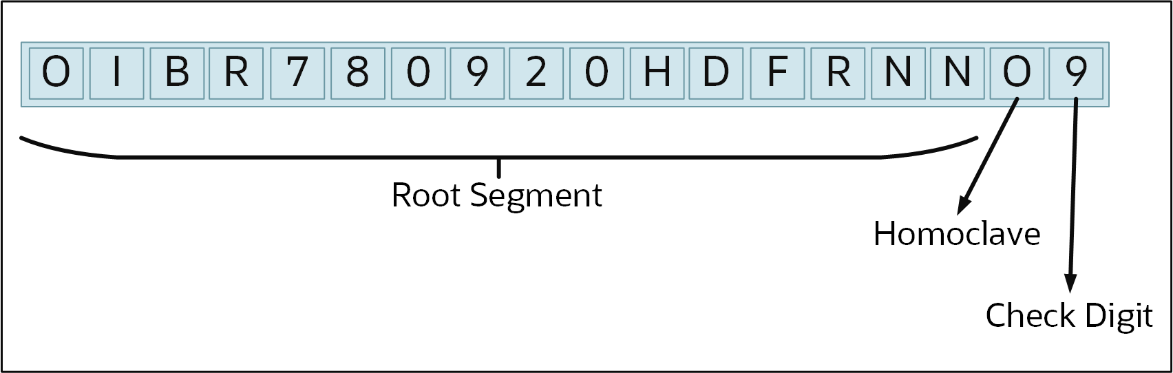 CURP Number Structure